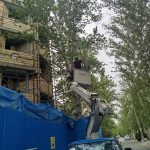 شاخه زنی درخت-2